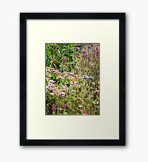 Cottage Garden Framed Print