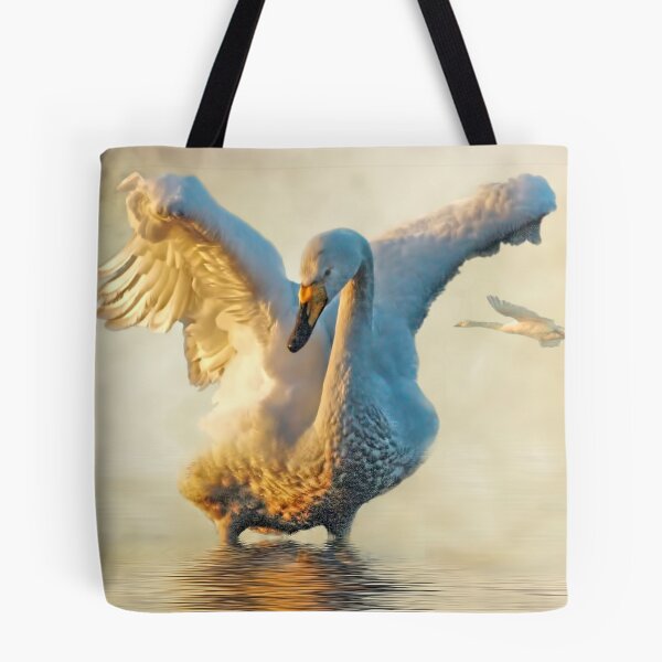 Item preview, Swans at sundown designed and sold by Brian Tarr.