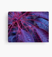 Branching Out Canvas Print