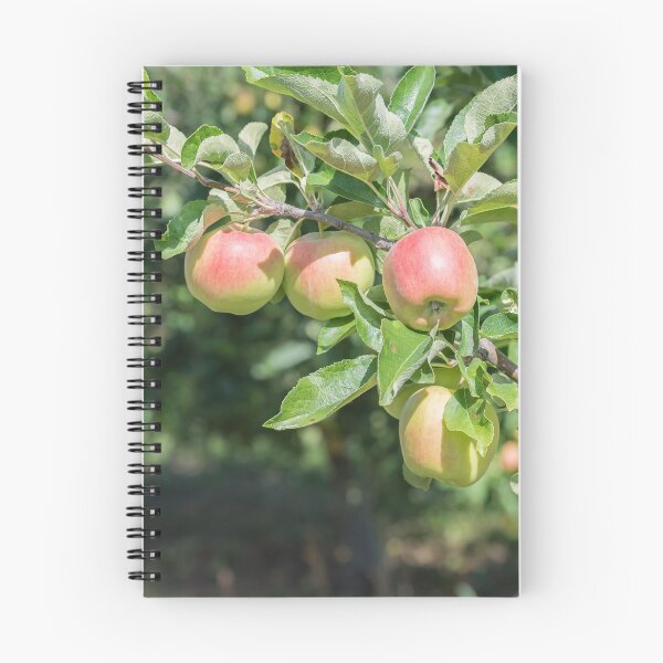 Item preview, Okanagan Valley Apples and Summer Sunshine designed and sold by Amy Mitchell.