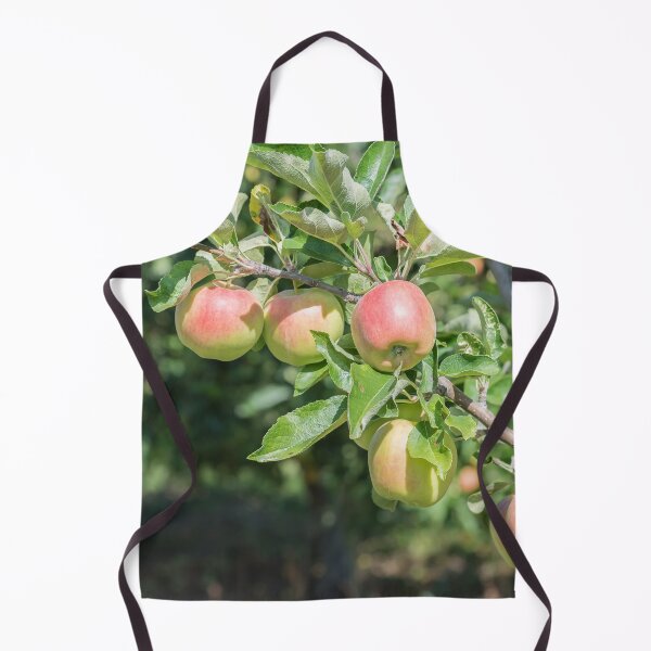Item preview, Okanagan Valley Apples and Summer Sunshine designed and sold by Amy Mitchell.