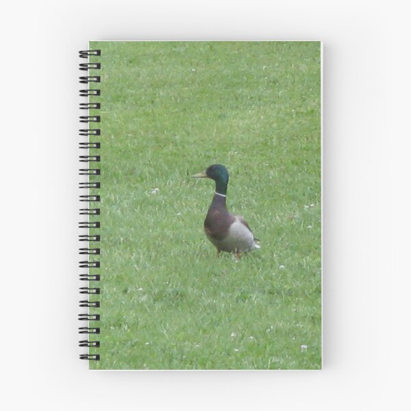 Item preview, Strollin' Around designed and sold by Photography On The Fly.