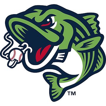 The-Gwinnett-Stripers-Logo Kids T-Shirt for Sale by MasArt1