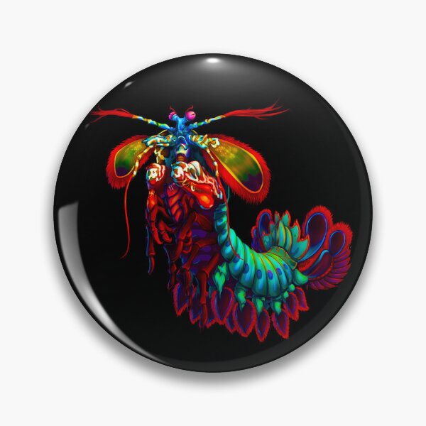 Item preview, Rainbow Peacock Mantis Shrimp  designed and sold by OtillieArt.