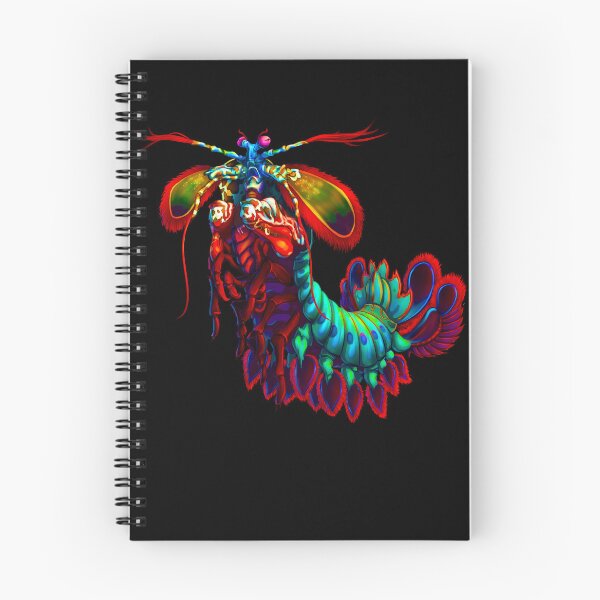 Item preview, Rainbow Peacock Mantis Shrimp  designed and sold by OtillieArt.