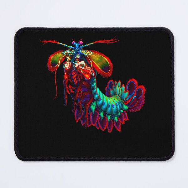 Item preview, Rainbow Peacock Mantis Shrimp  designed and sold by OtillieArt.