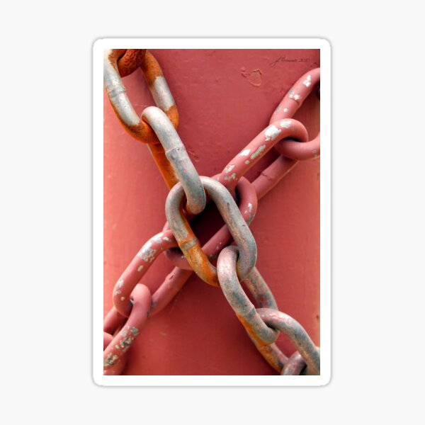 Linked in Pink Sticker