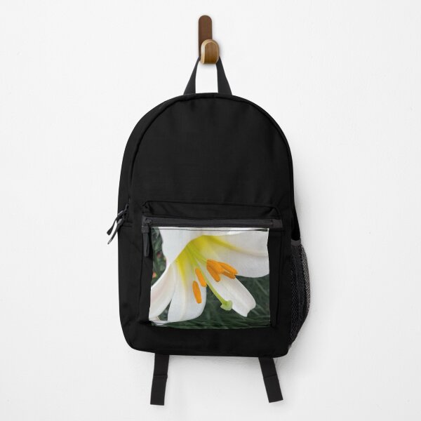 Item preview, The Rise and Shine of the Glorious Easter Lily designed and sold by Photomersion.