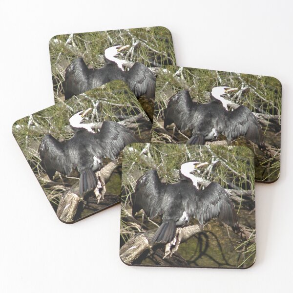 Item preview,  Australian Pied Cormorant Drying Wings in The Sun  designed and sold by MottoDigging.