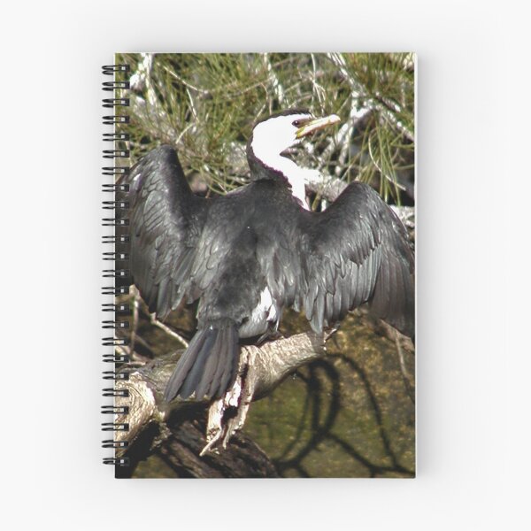 Item preview,  Australian Pied Cormorant Drying Wings in The Sun  designed and sold by MottoDigging.