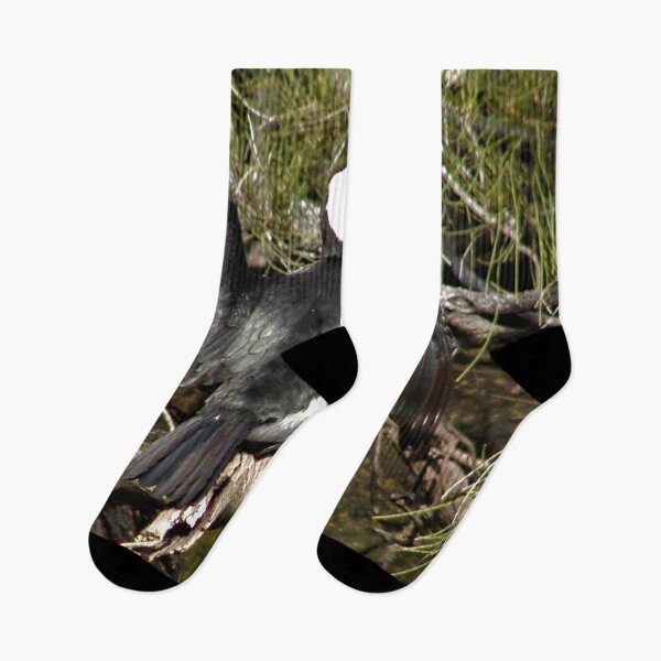 Item preview,  Australian Pied Cormorant Drying Wings in The Sun  designed and sold by MottoDigging.