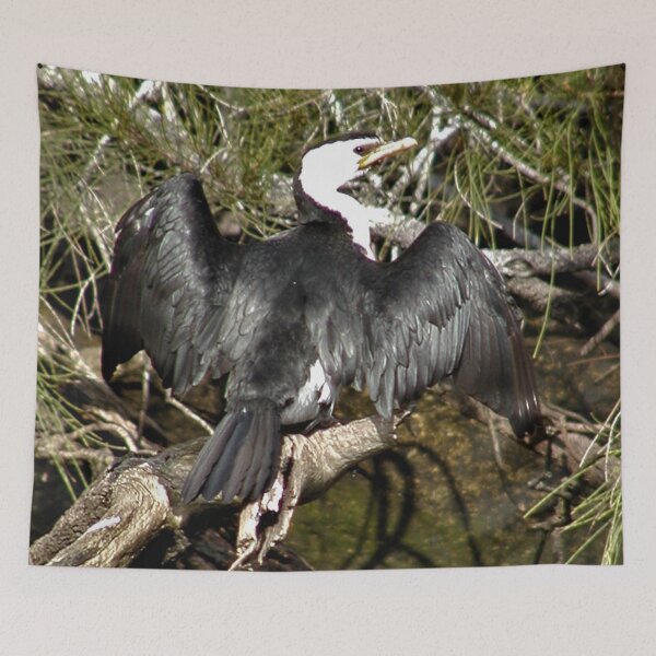 Item preview,  Australian Pied Cormorant Drying Wings in The Sun  designed and sold by MottoDigging.