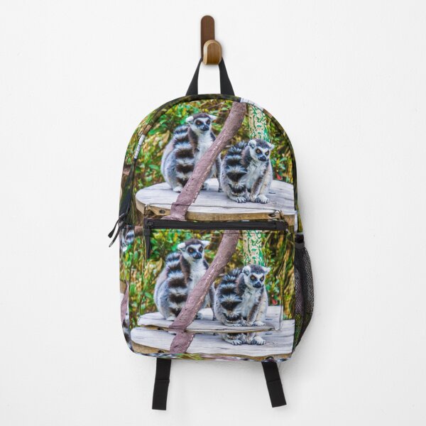 Item preview, A pair of Orange-Eyed Ring-Tailed Lemurs designed and sold by Steven Jodoin.