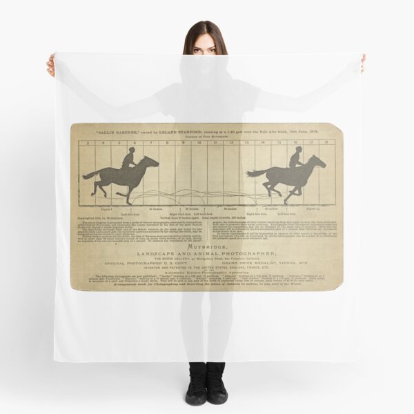 NYPL Eadweard Muybridge Horse & Rider Silk Scarf