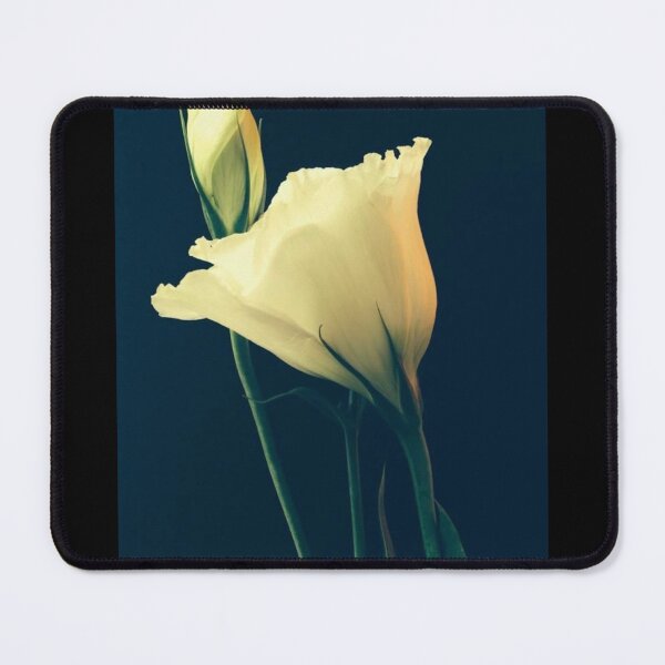 Item preview, White Lisianthus the Tender Perennial Flower of Gentleness designed and sold by Photomersion.