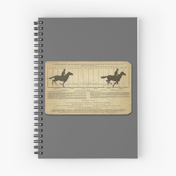 Item preview,    Eadweard Muybridge – 1830-1904 – Animal Locomotion Theory – Horse Poster - Grey designed and sold by imageresource.