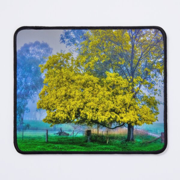 Item preview, Golden Acacia Wattle Tree in Full Bloom designed and sold by Steven Jodoin.