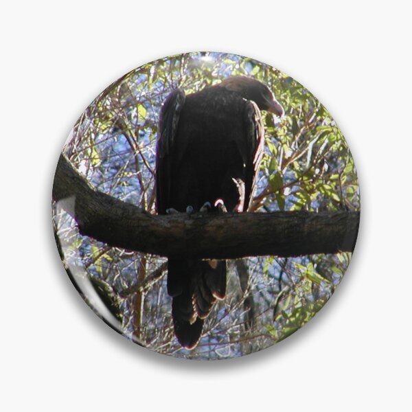 Item preview, Australian Sea Eagle Juvenile Waiting for Parents in Tree  designed and sold by MottoDigging.