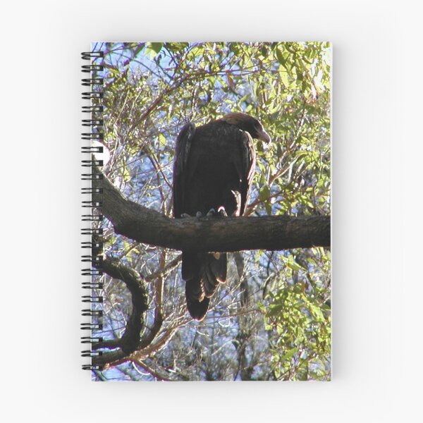 Item preview, Australian Sea Eagle Juvenile Waiting for Parents in Tree  designed and sold by MottoDigging.