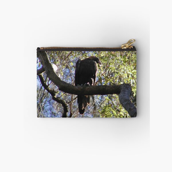 Item preview, Australian Sea Eagle Juvenile Waiting for Parents in Tree  designed and sold by MottoDigging.