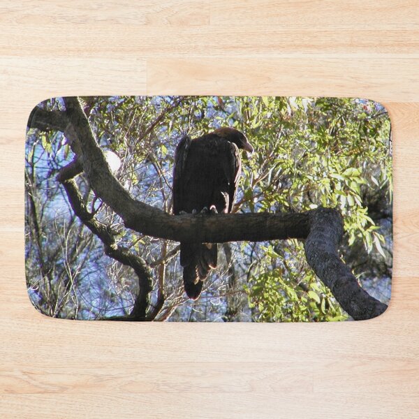 Item preview, Australian Sea Eagle Juvenile Waiting for Parents in Tree  designed and sold by MottoDigging.