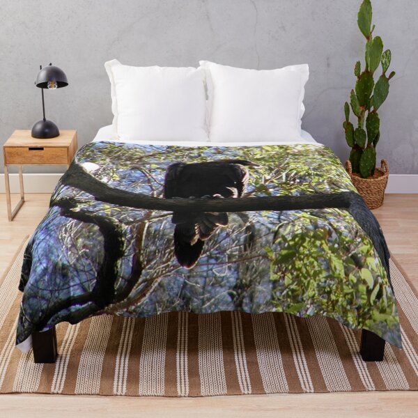Item preview, Australian Sea Eagle Juvenile Waiting for Parents in Tree  designed and sold by MottoDigging.