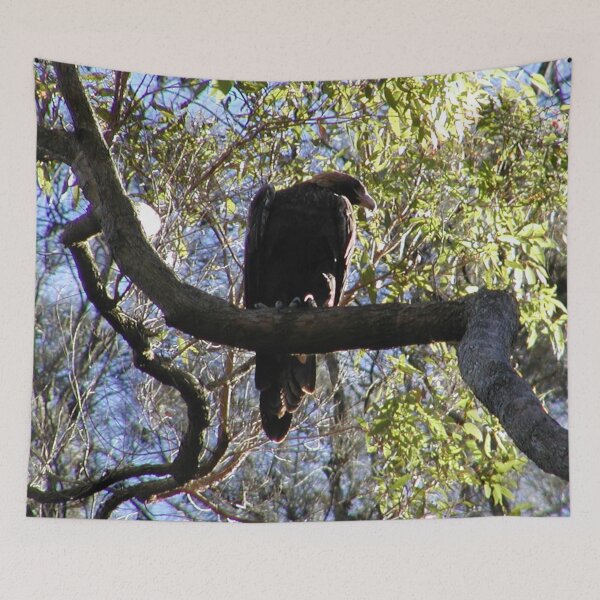 Item preview, Australian Sea Eagle Juvenile Waiting for Parents in Tree  designed and sold by MottoDigging.