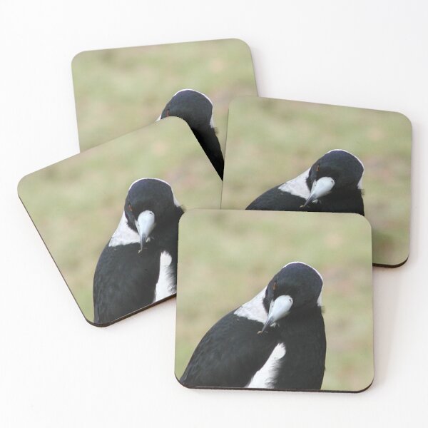 Item preview, Australian Magpie with Leaf in Beak designed and sold by MottoDigging.