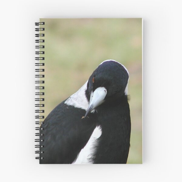Item preview, Australian Magpie with Leaf in Beak designed and sold by MottoDigging.