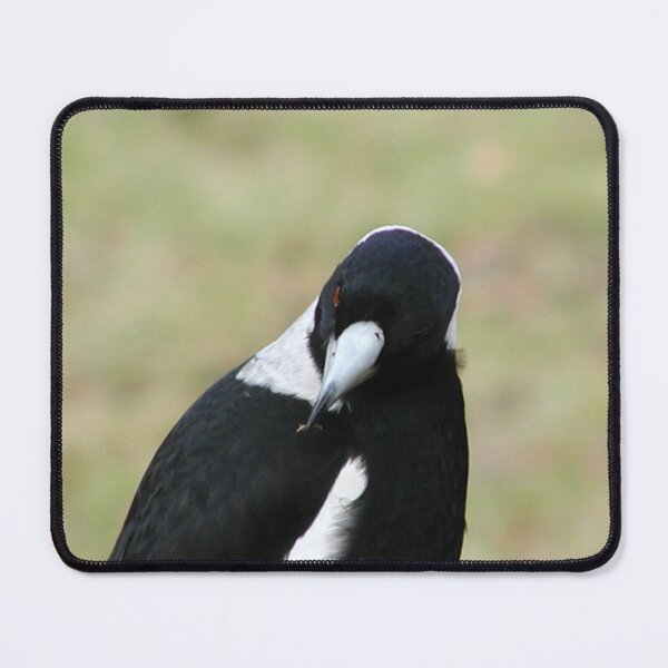 Item preview, Australian Magpie with Leaf in Beak designed and sold by MottoDigging.