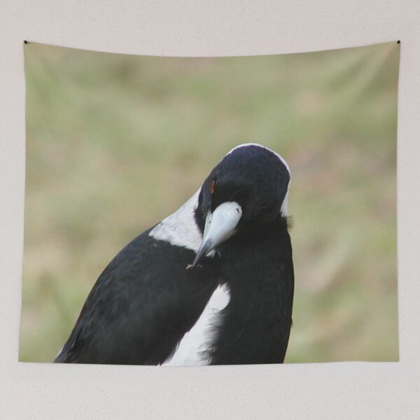Item preview, Australian Magpie with Leaf in Beak designed and sold by MottoDigging.
