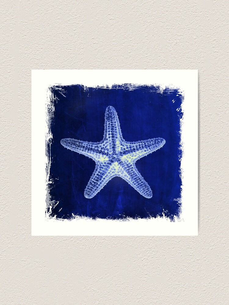 Download Decor chic cotiere For iPhone Free