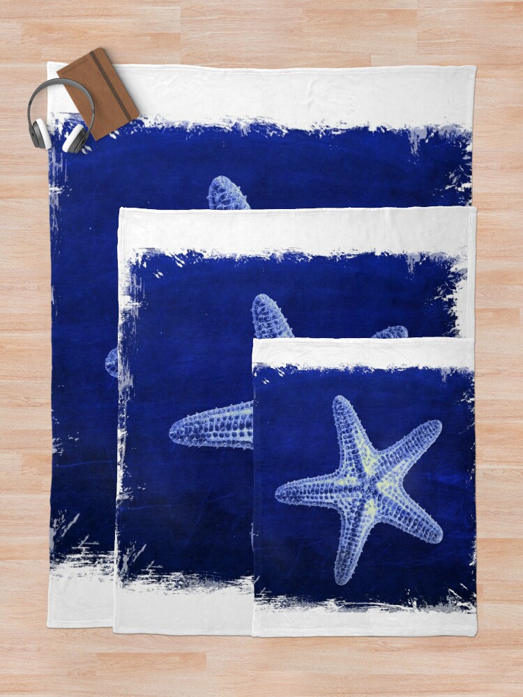 Blue nautical background with sea shells, starfishes and fishing net.  Assorted marine animals Stock Photo