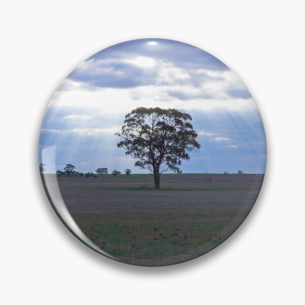 Item preview, Lone Tree and a Curtain of Sunrays - Boort, Victoria designed and sold by Steven Jodoin.