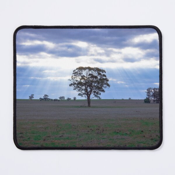 Item preview, Lone Tree and a Curtain of Sunrays - Boort, Victoria designed and sold by Steven Jodoin.