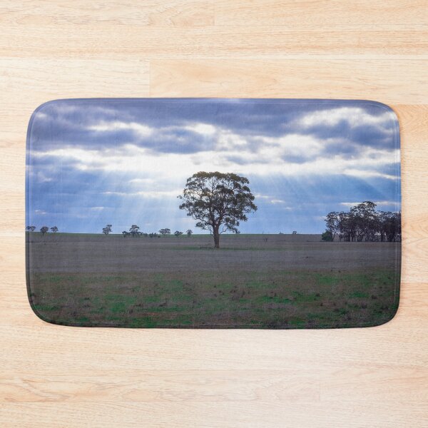 Item preview, Lone Tree and a Curtain of Sunrays - Boort, Victoria designed and sold by Steven Jodoin.