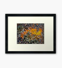 Feng Shui Framed Print