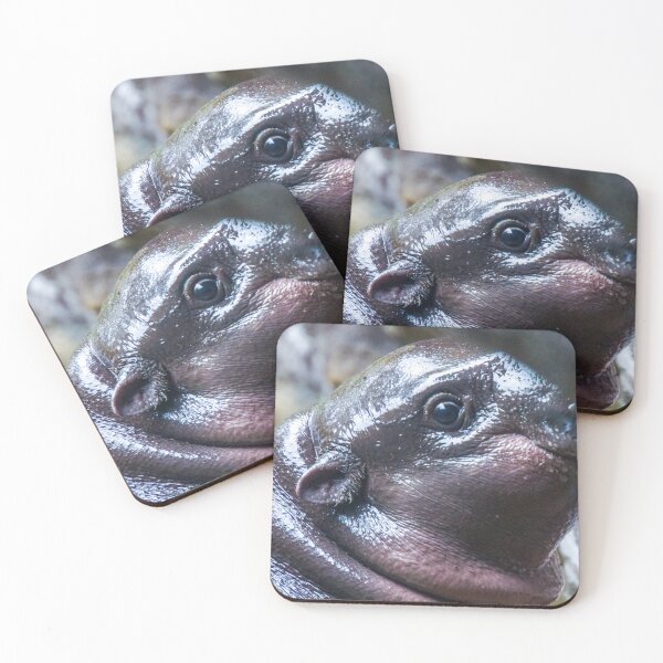Item preview, Baby Manatee Peek-a-Boo designed and sold by Steven Jodoin.