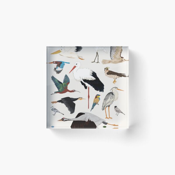 Item preview, birds  designed and sold by BENSHUSHSAN.