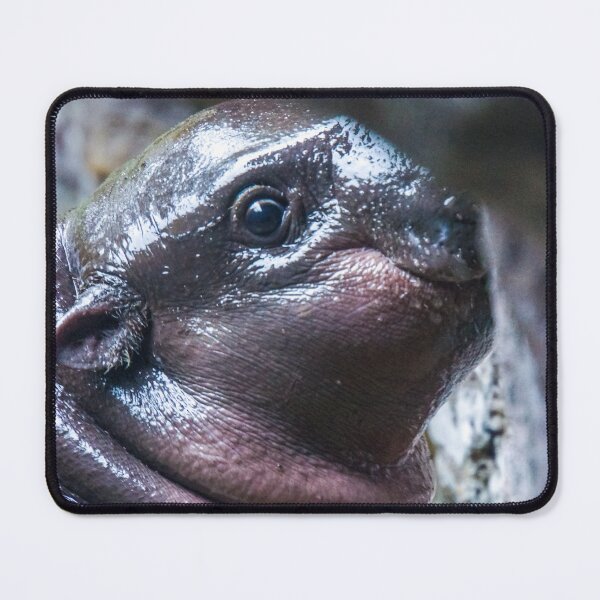 Item preview, Baby Manatee Peek-a-Boo designed and sold by Steven Jodoin.