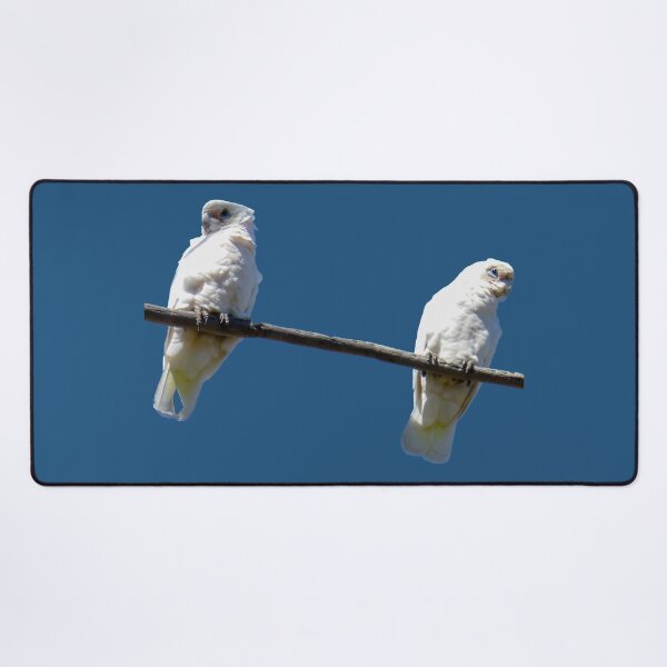 Item preview, Cockatoos designed and sold by indiafrankk.