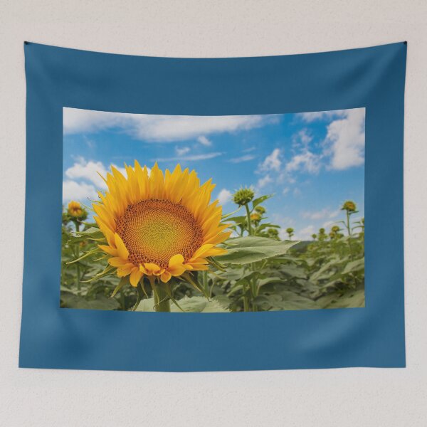 Artikelvorschau, Kansas-Sonnenblume IV entworfen und verkauft von HiddenRockRanch.