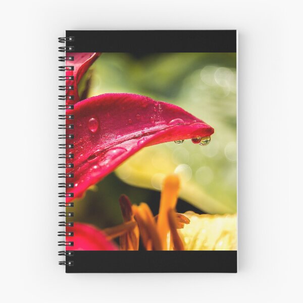 Item preview, Lily with rain drop designed and sold by thickman14.