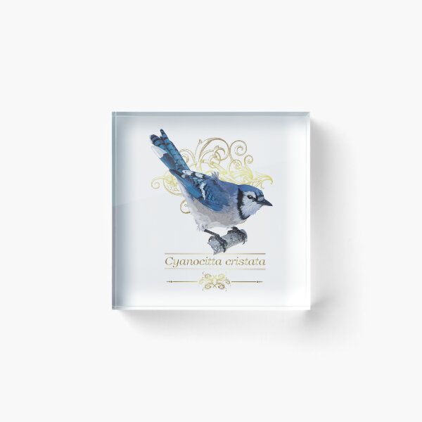 Item preview, the blue jay designed and sold by obscurite.