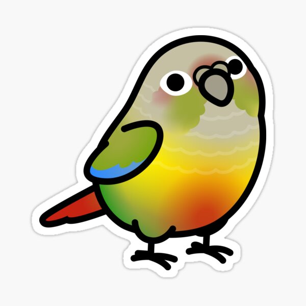 Chubby Pineapple Green Cheek Conure Sticker