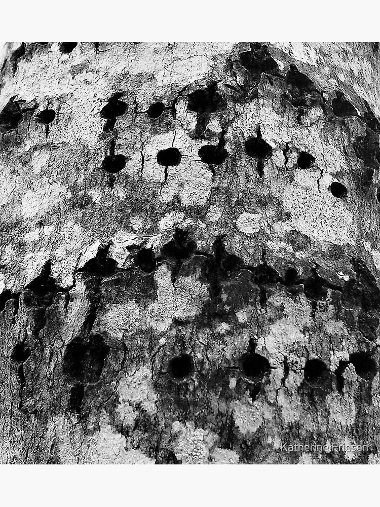 "How Much Wood Could a Woodpecker Peck?" Sticker by katfriesen | Redbubble