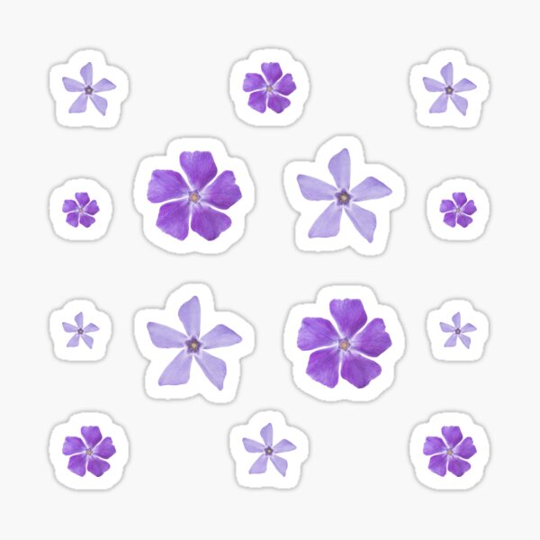 Stickers 'purple flowers