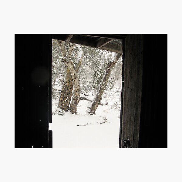 Item preview, Narnia with snowgums designed and sold by jayview.