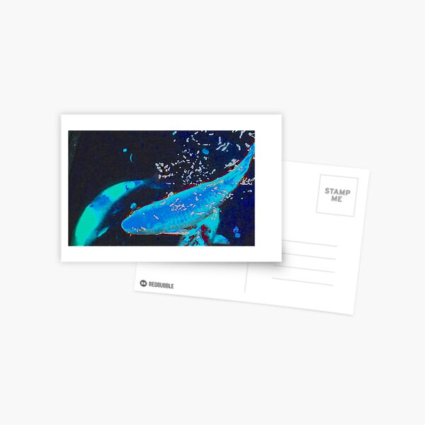 Blue Koi Postcard