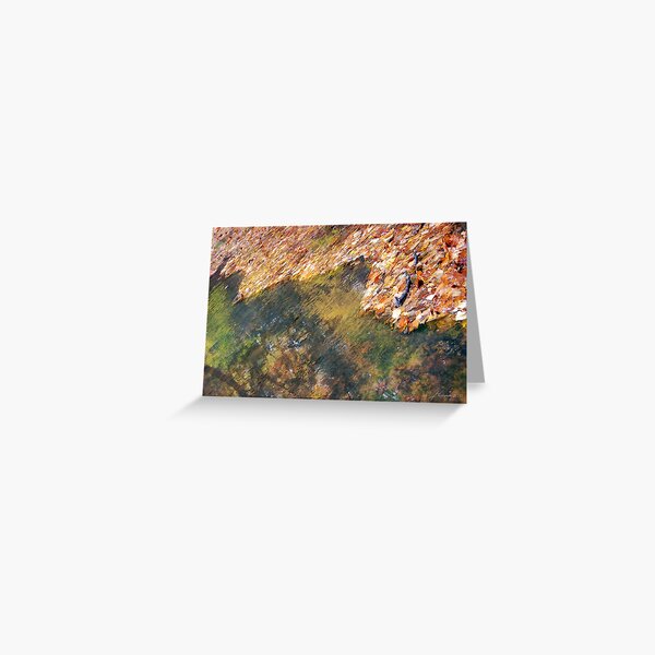 Monet's Mirror Greeting Card